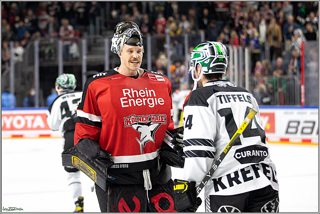 PENNY DEL;  Koelner Haie - Krefeld Pinguins; Koeln, 31.10.2021